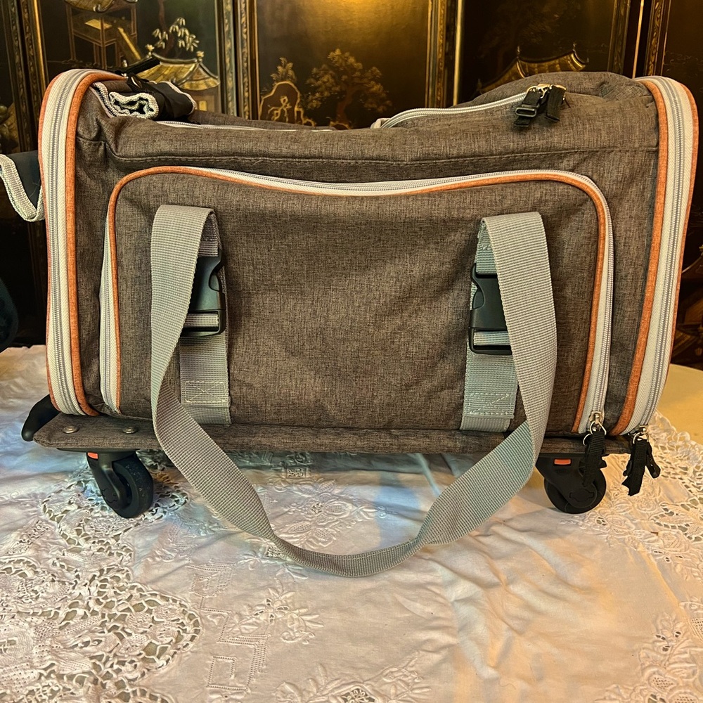 Brown and Blue Small Pet Carrier with Structured Design